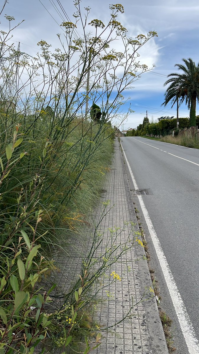 Joser_arias88's tweet photo. @ConcelloCoruna ,por onde imos?carretera ou acera?tedes a zona de Feans moi abandonada https://t.co/8anZK2DN6S