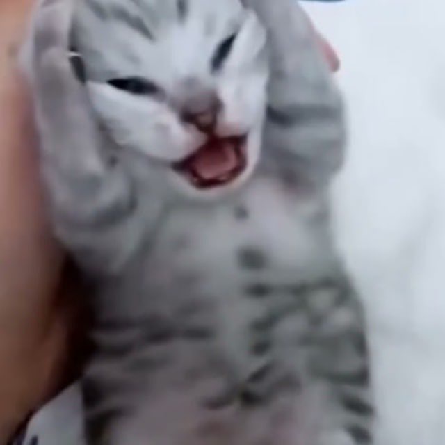 <a href="/davidgokhshtein/">David Gokhshtein</a> t.me/etfctocto

END THE FUD
#ETF #ETFs

dexscreener.com/solana/f2azf9p…