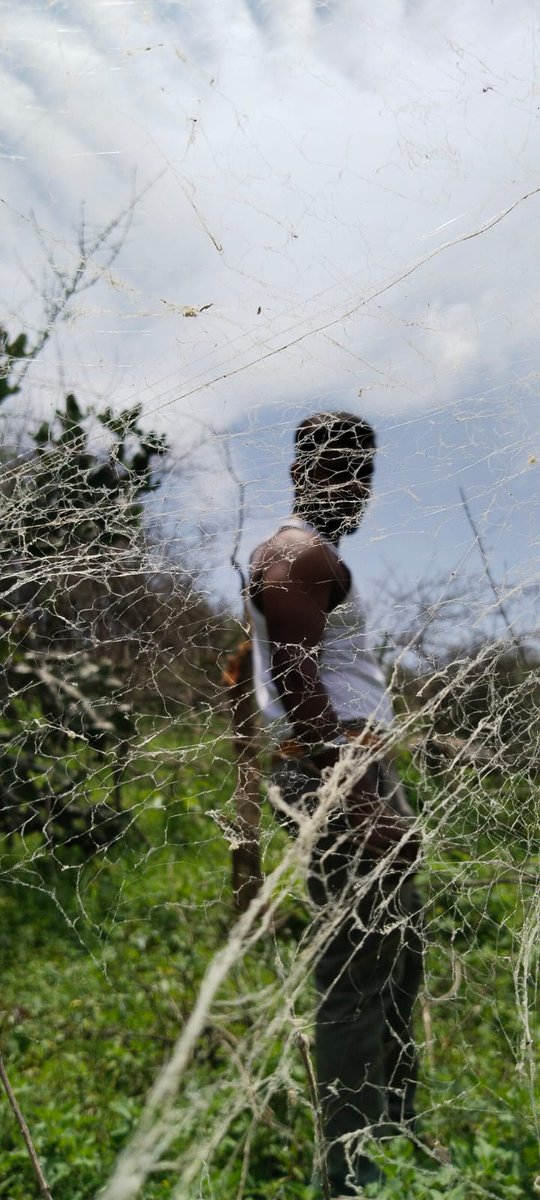 காட்டு வேட்டை ku யார் வாரிங்க frnds 👆💦🦁