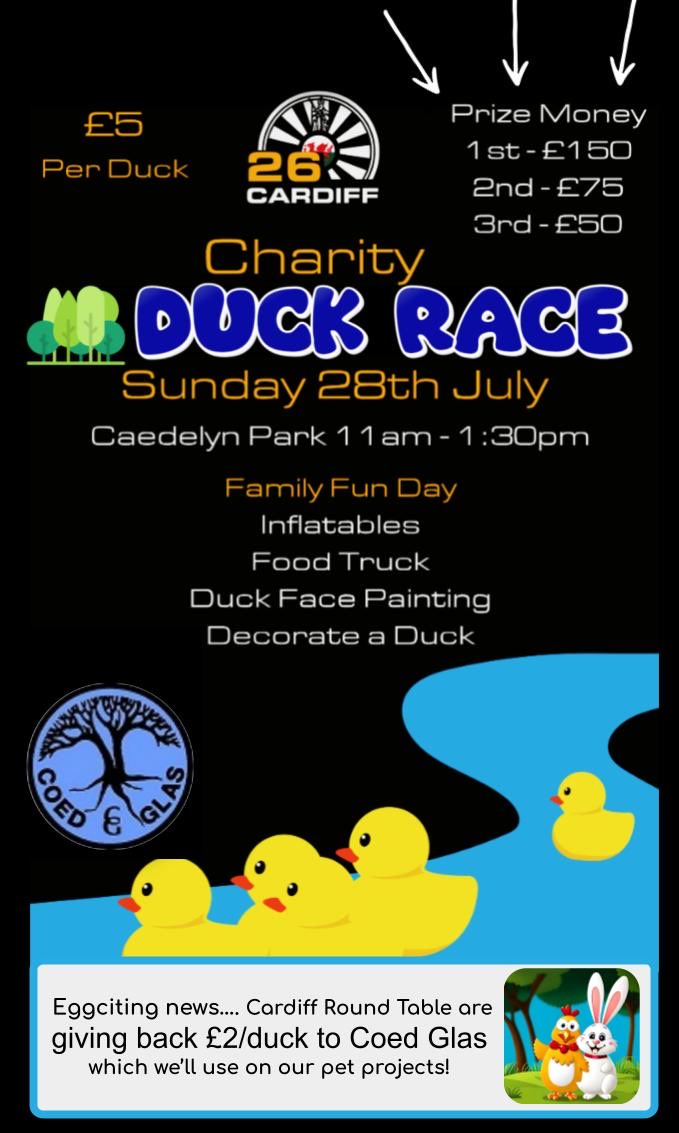 Coed Glas Primary tweet media