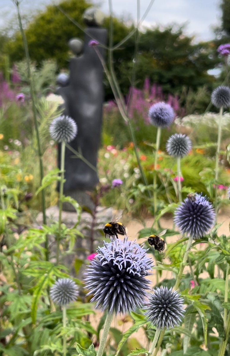 The bees are back in town! 
And the Herbaceous Garden is looking amazing!

#exbury #exburygardens #wildexbury #rhododendron #azalea  #camellia #newforest #gardening #hampshire #garden #flowers #plants #nature #naturephotography #spectacular #flowerpower #perennials #herbaceous