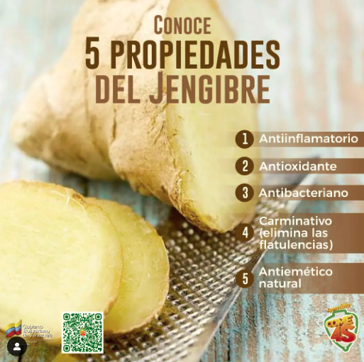 InnVenezuela's tweet photo. #AgarraDato | Gracias a el #gingerol el principal componente químico del #jengibre, se atribuye sus efectos antiinflamatorios y antioxidantes.

#LaPoesíaNosUne https://t.co/yimav99mrJ