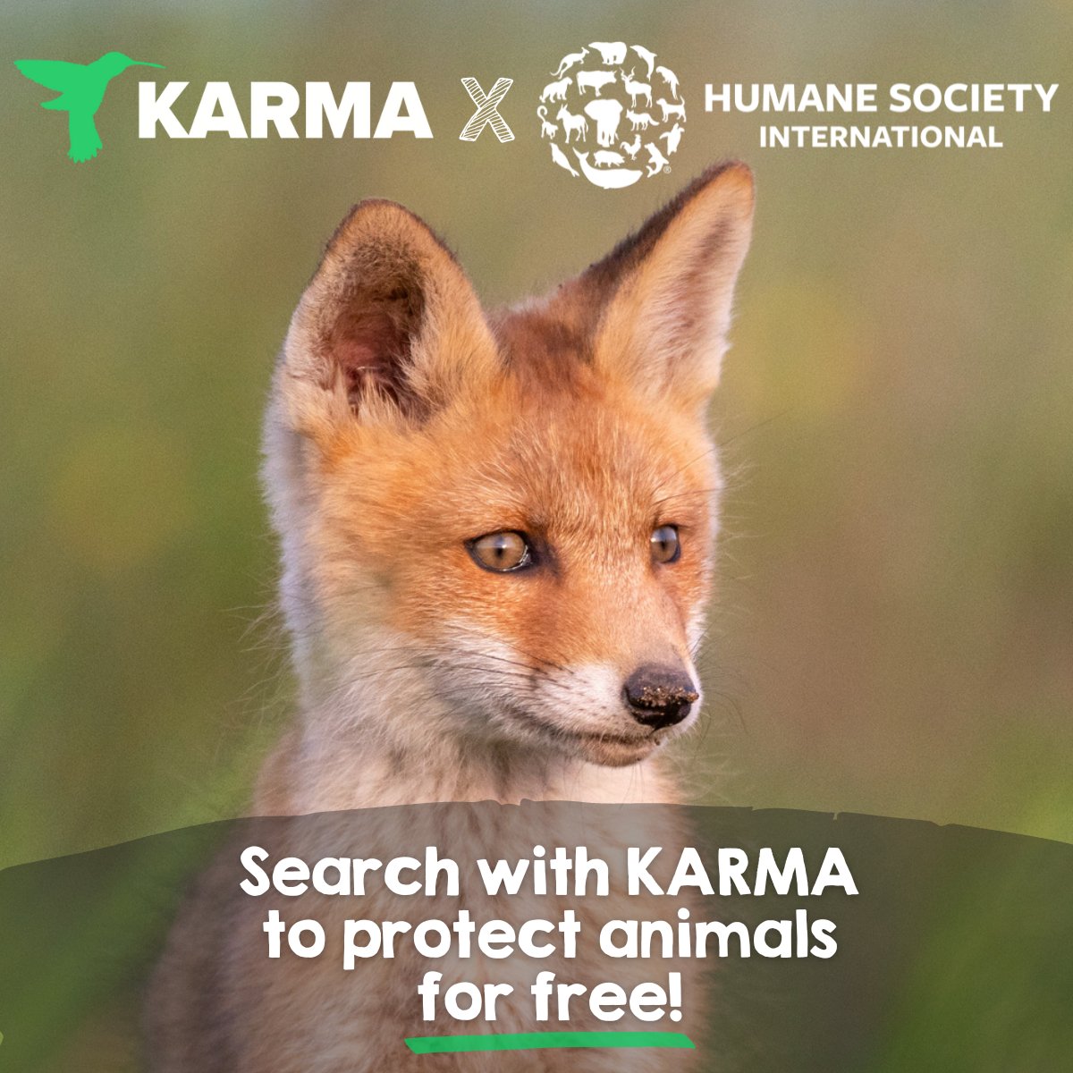 Humane World for Animals News tweet media