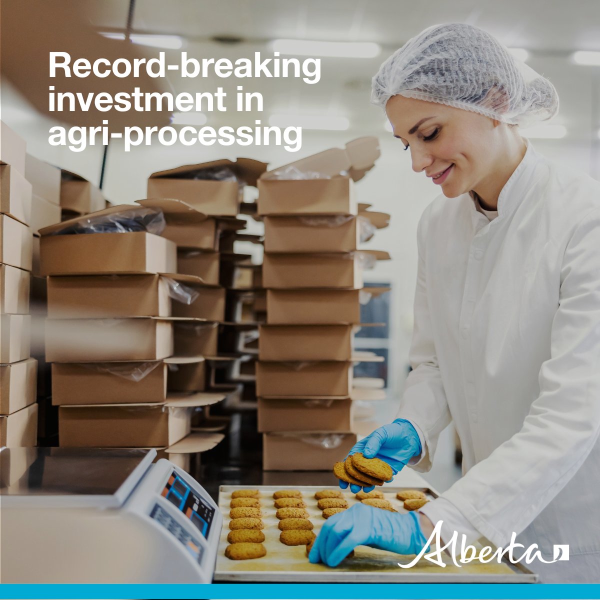 Last year, Agriculture and Irrigation confirmed a record $3 billion in new investment in Alberta’s agri-processing sector.
 
That’s more jobs and more excellent Alberta products on shelves across the world. 

Find out more: alberta.ca/agricultural-i…