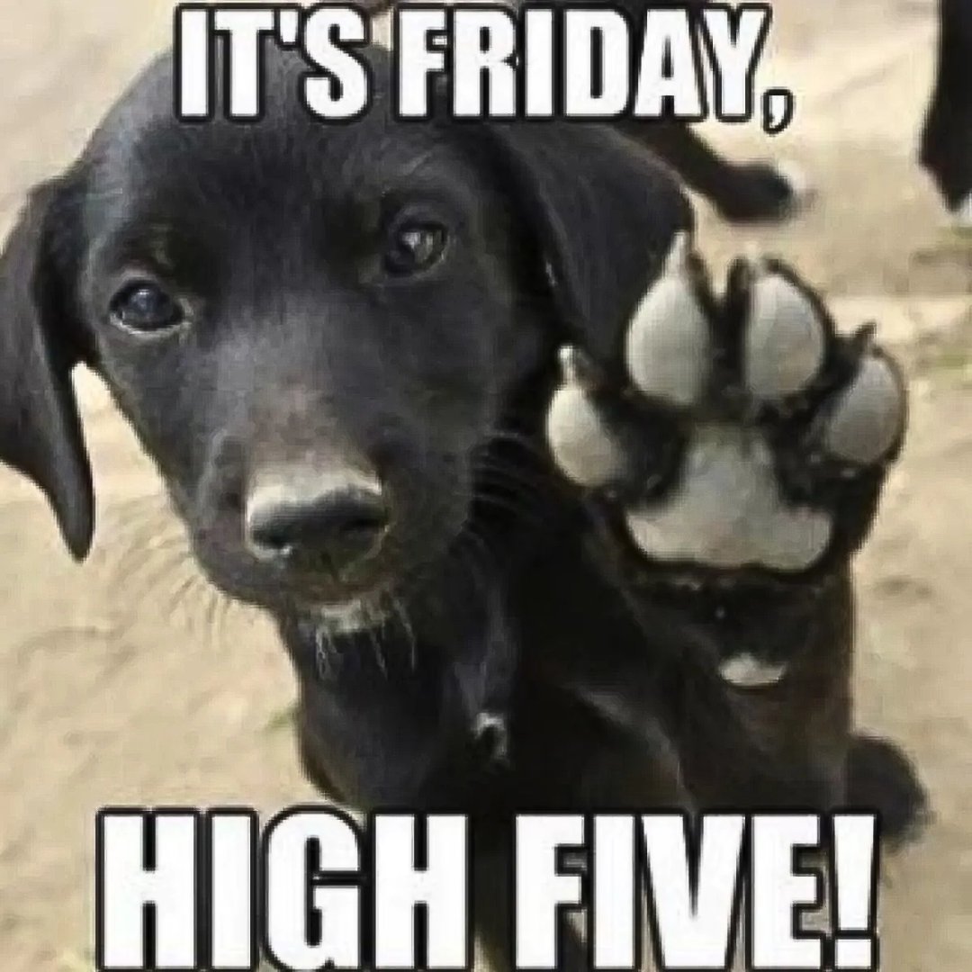 AllcoInsurance's tweet image. Happy Friday! Have a great weekend. 

#HappyFriday #HighFive #AllcoInsurance #Fullerton #InsuranceAgency #IndependentAgency #InsuranceSpecialists #WeekendVibes