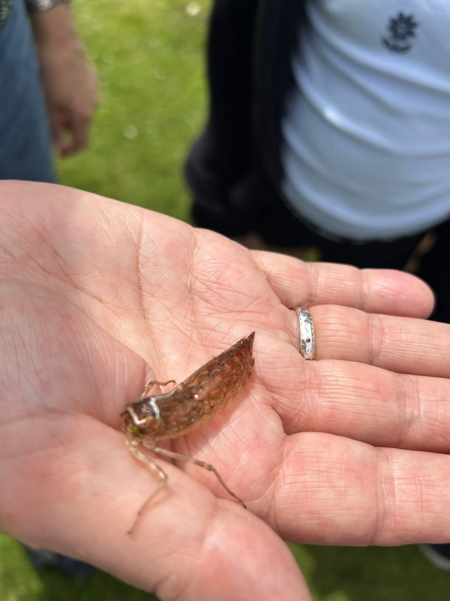 Thank you to everyone at <a href="/BelmontHseGdns/">Belmont House and Gardens</a> House who made our third visit such a memorable day.