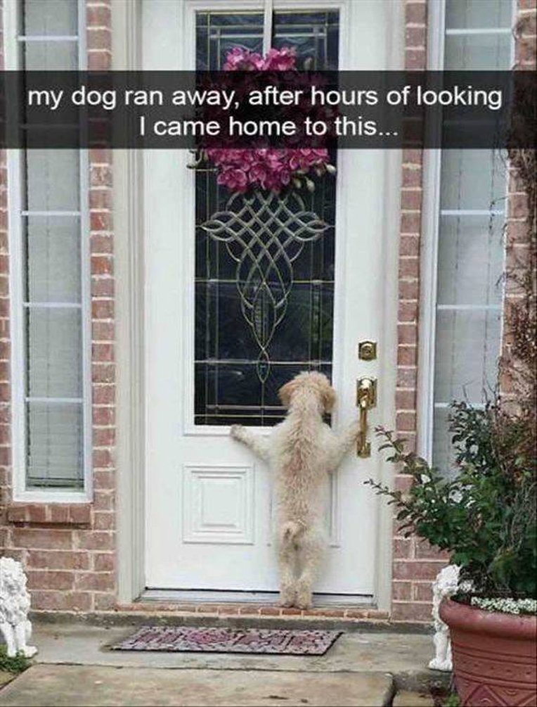 Dalbodog's tweet photo. 😅 https://t.co/j1FkbABlNE