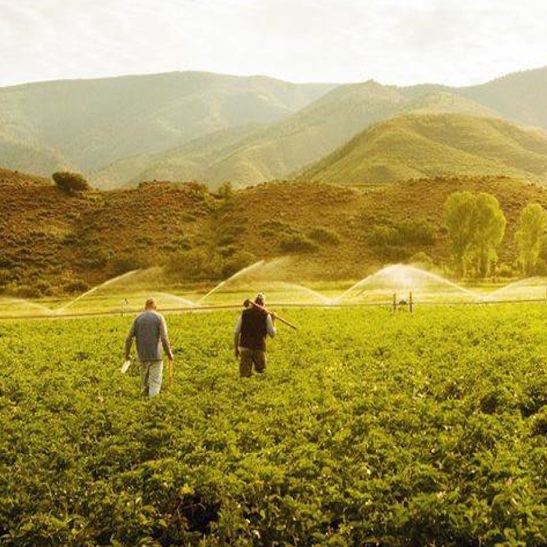 Best ingredients. Best equipment. Best spirits. And it all starts with the Colorado Rocky Mountain water. 

#woodycreekdistillers #coloradobornandraised #woodycreek
