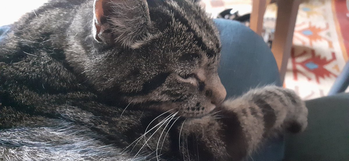 Ann Lewis VPRCA tweet media