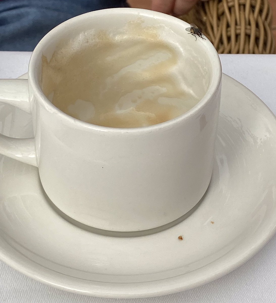 I’ve had an idea for a new game. It’s time for… Doric Catchphrase! Say what you see…