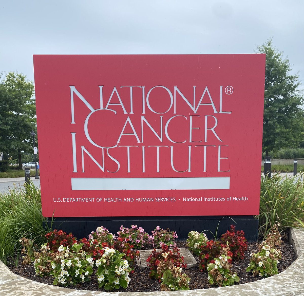 Finishing up my last day at NCI! I really couldn’t imagine a better place for my postdoc 🥹

Next stop: down the road to NIDA ✌️