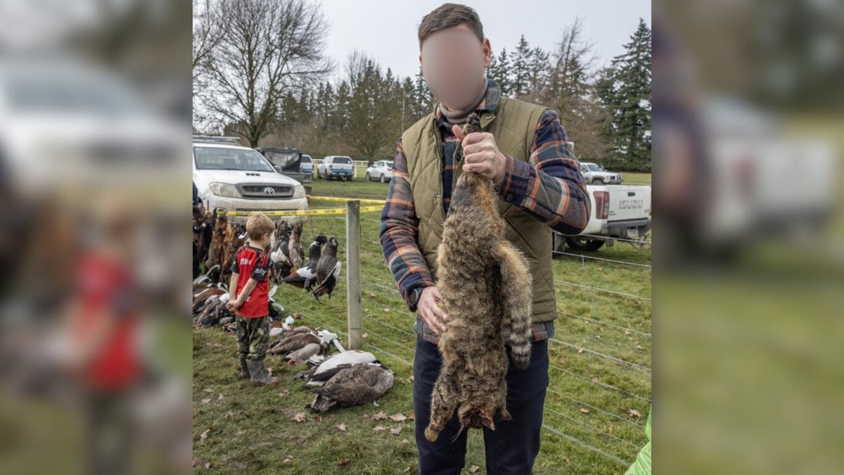 Network4Animals's tweet photo. #NewZealand is killing cats in the name of conservation, despite culling leading to increased numbers of #straycats. Join us as we demand humane, effective population control strategies to prevent needless suffering & death!
Sign our petition: https://t.co/ySPLIKHJFS.
#NFACats https://t.co/hnNlLQfXxj