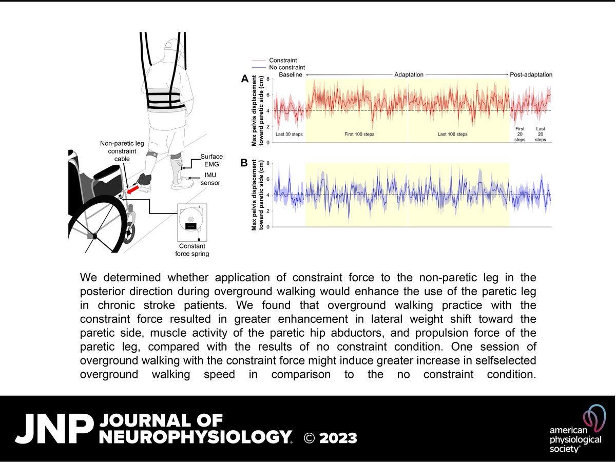 JNeurophysiol's tweet photo. For your weekend reading👉#OvergroundWalking with a constraint force on the nonparetic leg during swing improves #WeightShift toward the paretic side in people after #stroke (Seoung Hoon Park et al.)
🔓https://t.co/fp6PkjrsnC
#ConstraintInducedMovementTherapy #PareticPropulsion https://t.co/0gikUK9WIH