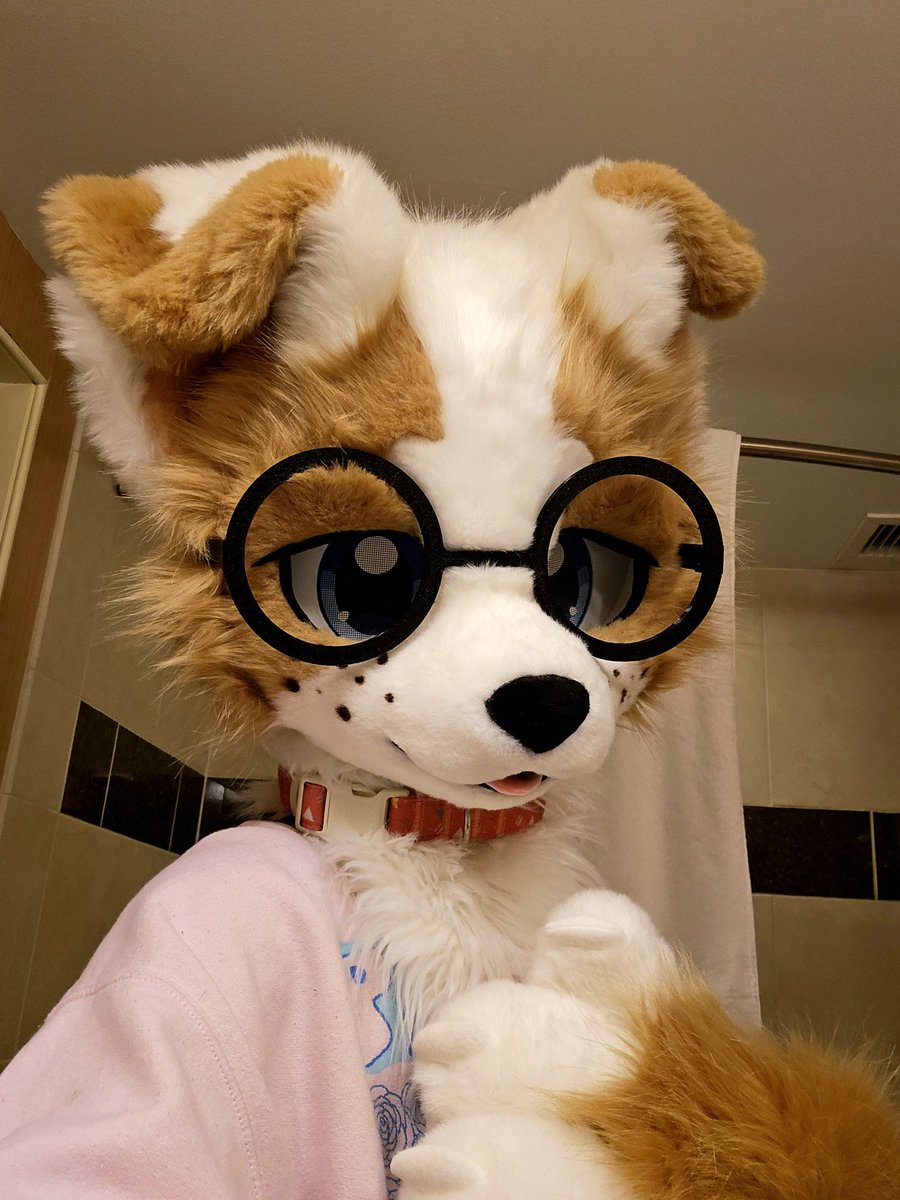 coffee puppy tweet media