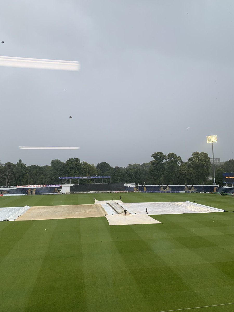 Vicki Blight tweet media