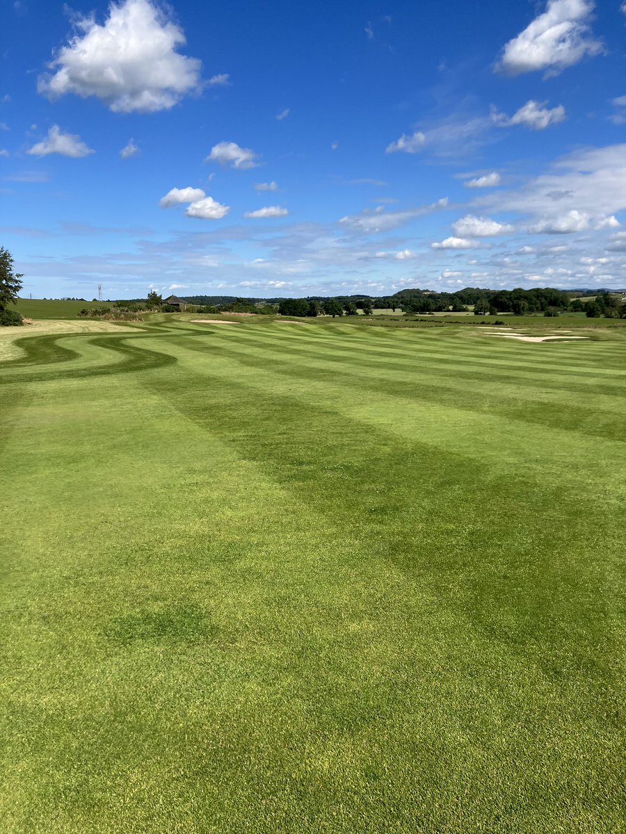 Rab Burns tweet media