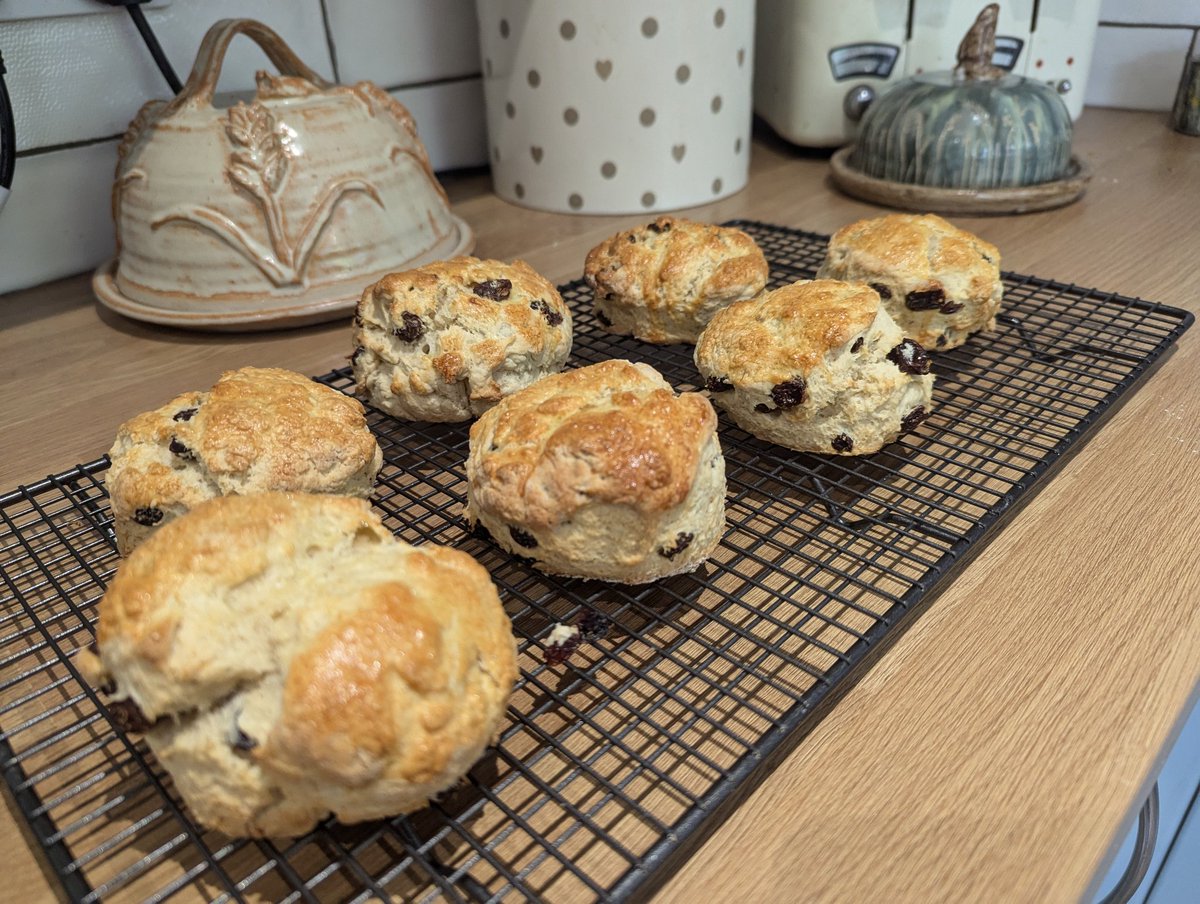 Megan Lock tweet media