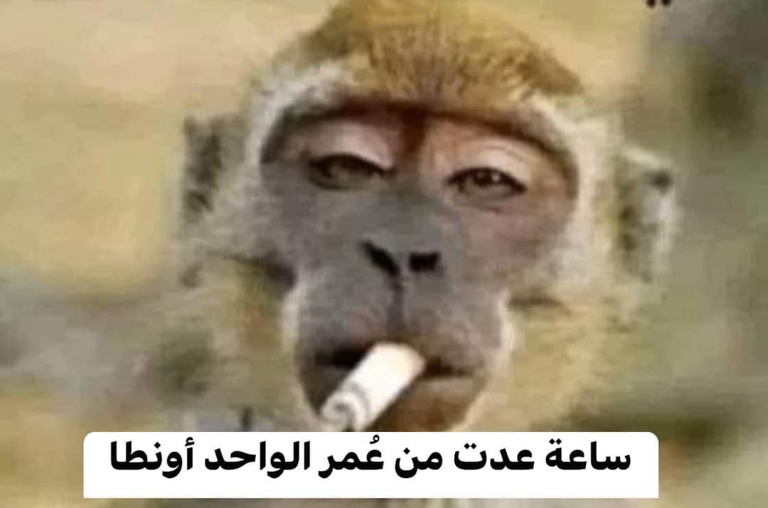 EMAN🦩 tweet media