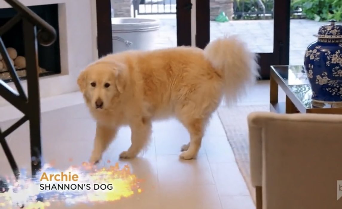 RealHousewivesRanked! tweet media