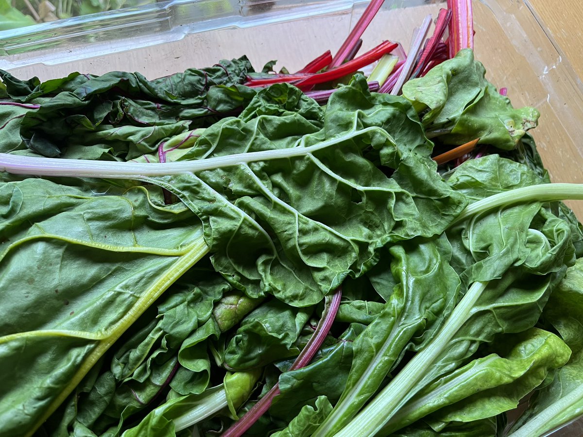 Ordsall Hall perks today - blackcurrants, redcurrants, raspberries, and bundles of rainbow chard