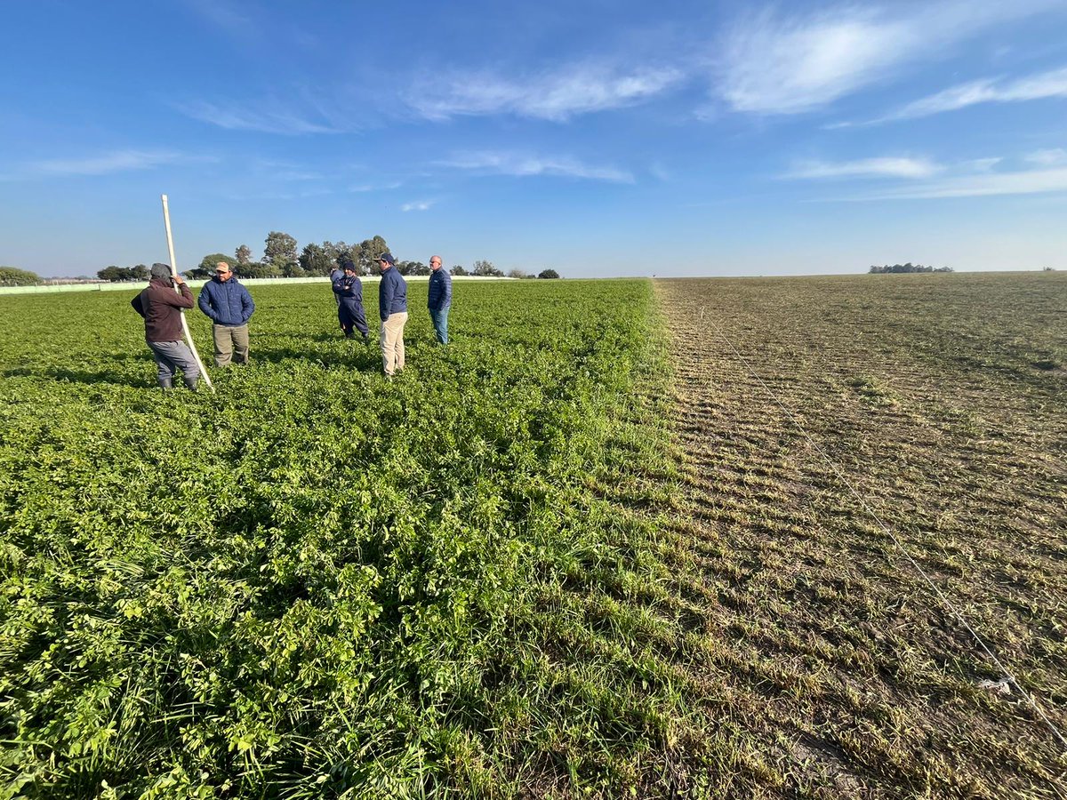 PGGWrightson_UY's tweet photo. El #Pasturas2024 está en plena marcha! Ayer estuvimos recorriendo el establecimiento Marema para seguir ajustando detalles. Ya lo podes agendar! 25/09 en San José junto a Britos Hermanos https://t.co/JegbcQ0dos