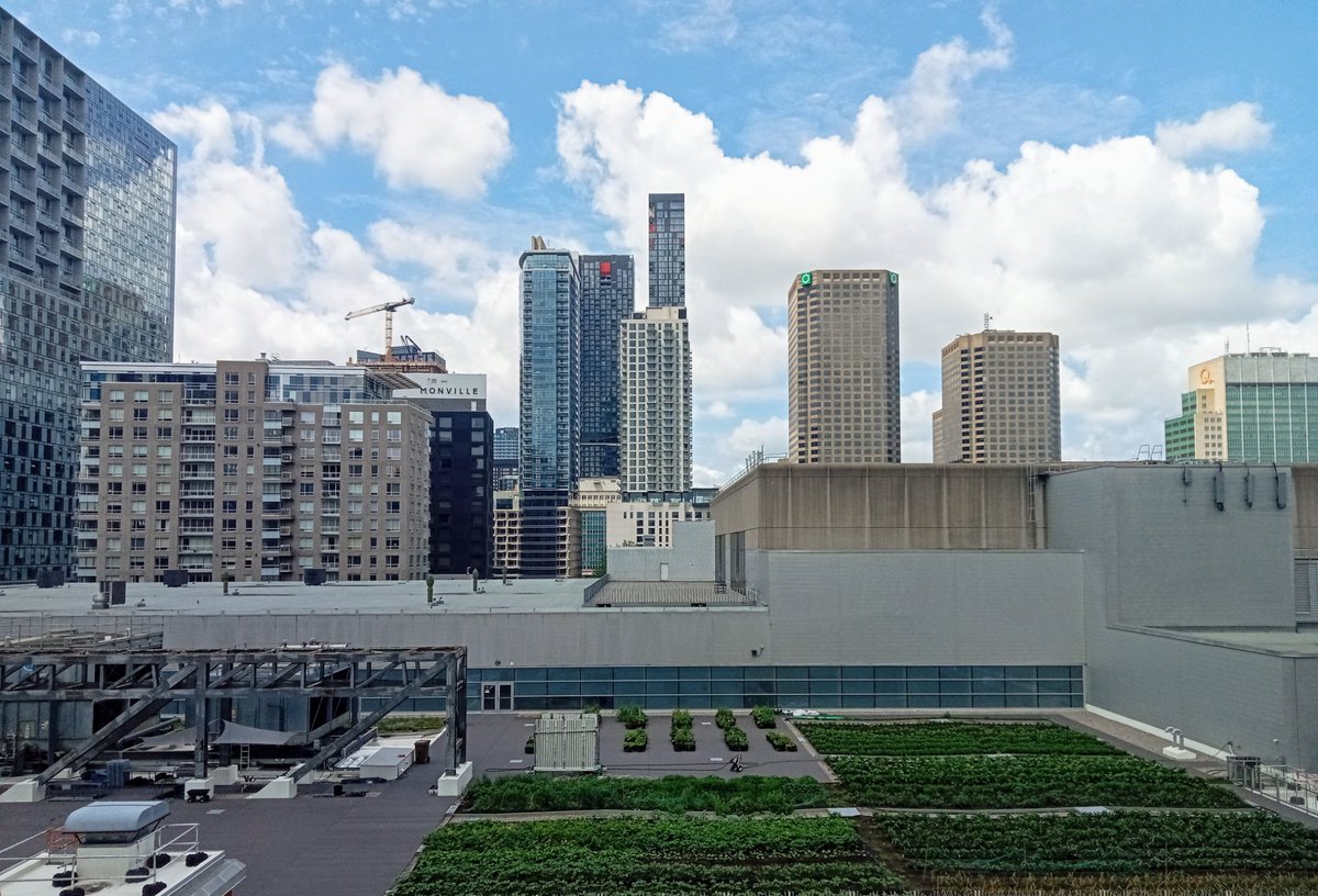 SelFdz's tweet image. Bonjour Montréal 🇨🇦
At the @iscb Board of Directors meeting, discussing the present and future of our Society 🌠
#Bioinformatics #ComputationalBiology