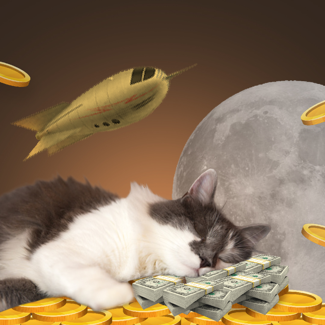 LazyCatMeme's tweet photo. Let's nap our way to the #moon https://t.co/1NXEl1uymV