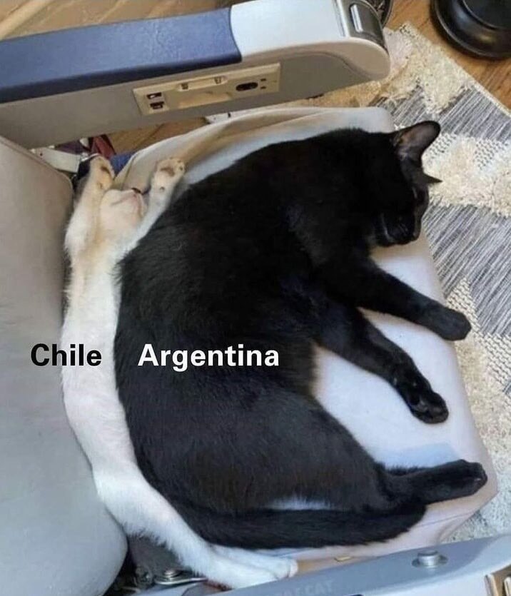 memeinteligente's tweet photo. https://t.co/aNQNWYgx8j
