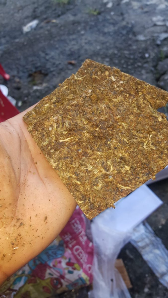 AhFORTEDORJ's tweet photo. 🆘️Caiu ela 🍫🍁🤯🆘️
80💰
100💰
ENTREGAMOS PARA TODO BRASIL 🆘️ https://t.co/RdLINoC3ec