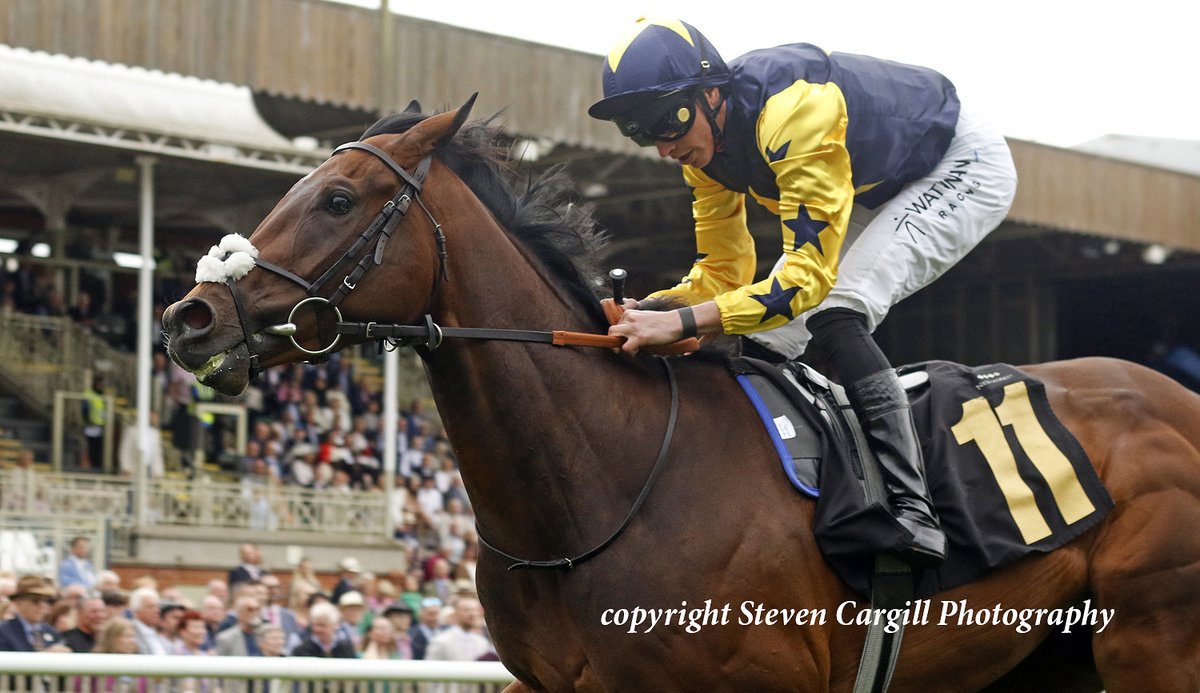 2nd win for 3yo g VALIDATED <a href="/the_doyler/">James Doyle</a> in 7f handicap <a href="/NewmarketRace/">Newmarket Racecourse</a> today for <a href="/DarleyEurope/">Darley in Europe</a> Iffraaj <a href="/ParrRacing/">Joseph Parr</a>