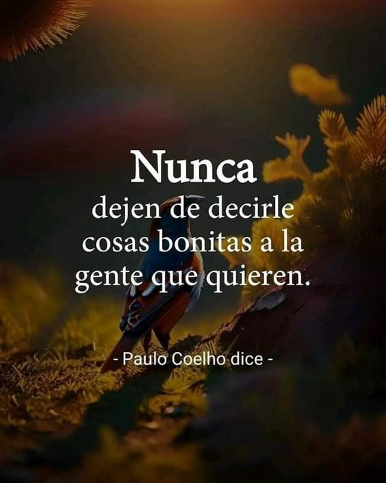 Felipe Suero (@felisuerope) on Twitter photo 