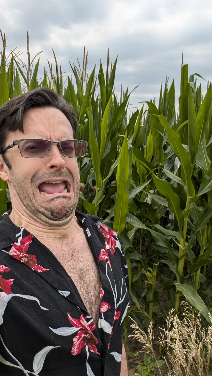 DomesticDad on Bsky tweet media