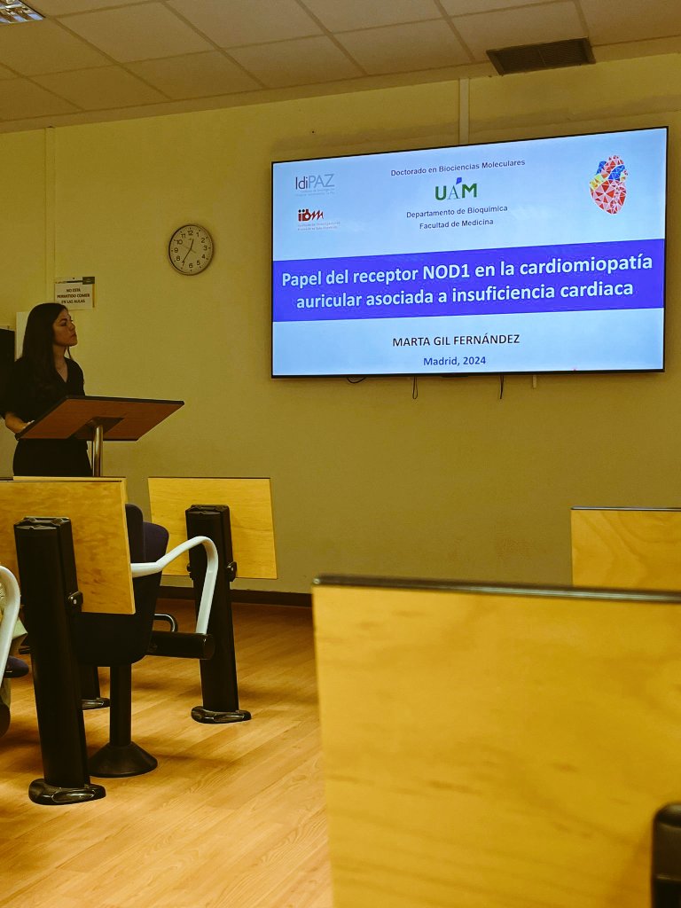 Maria Fernandez Velasco tweet media