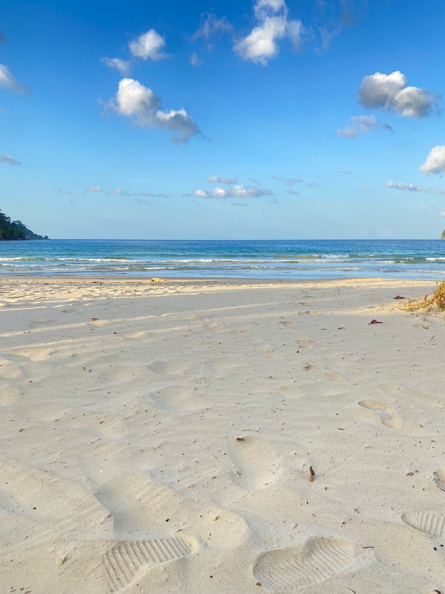 lycheeangel's tweet photo. i love being an island girl ⋆˚✩🌊🌴 https://t.co/QfSi10qg2d