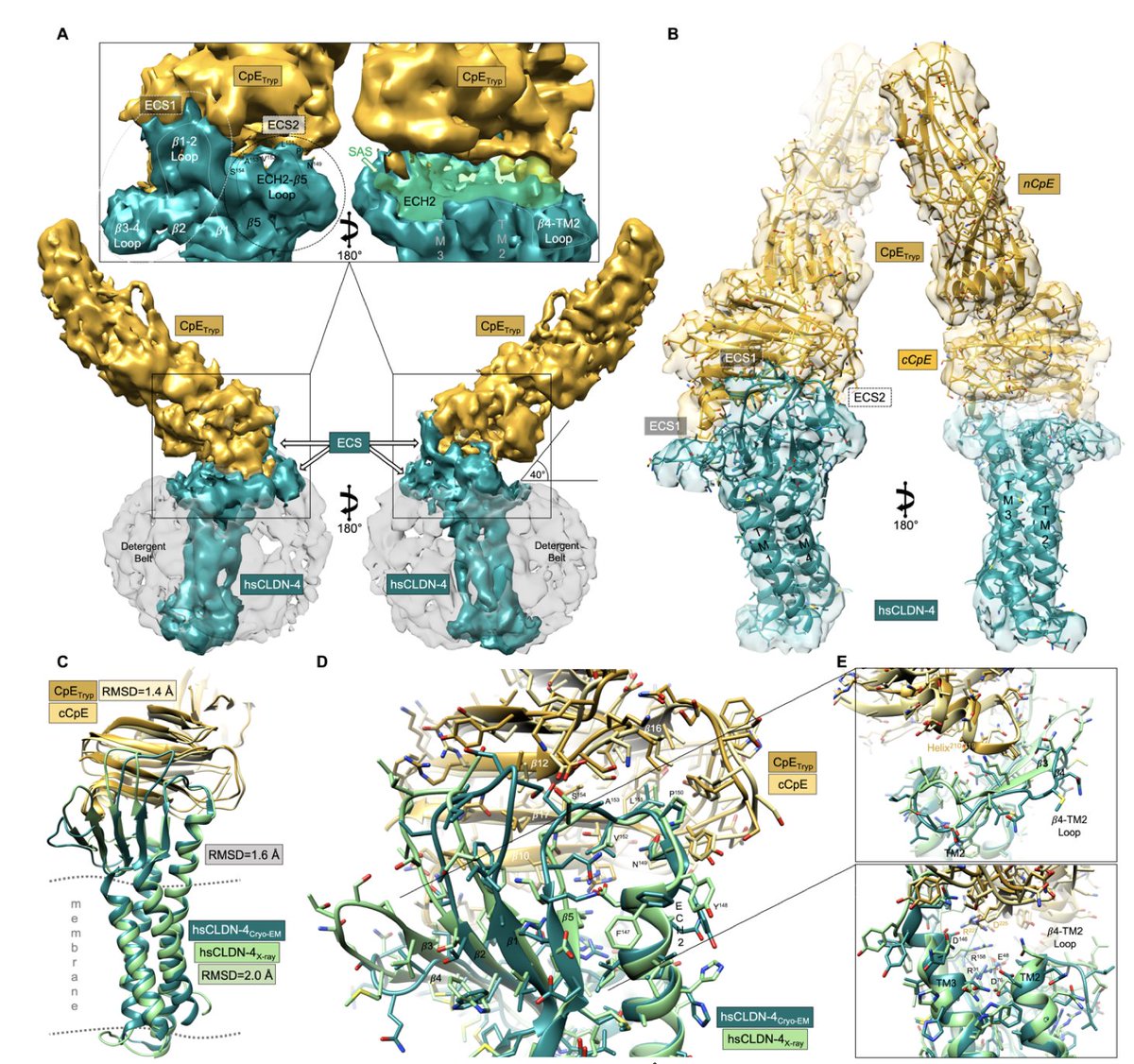 MemProtPDB tweet picture