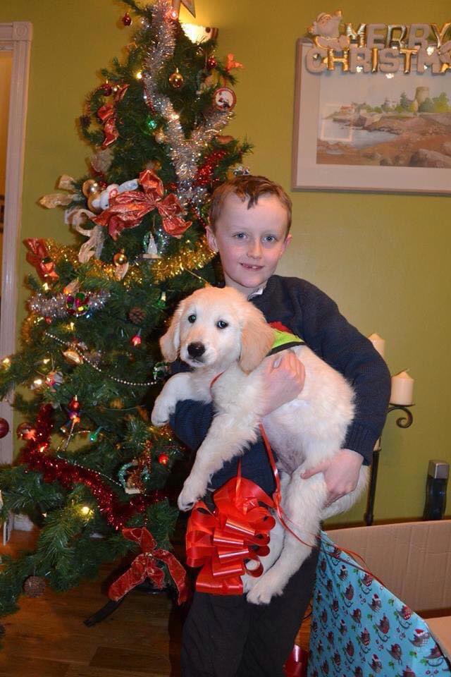 Máiréad Quinn 👩🏻‍🔬 tweet media