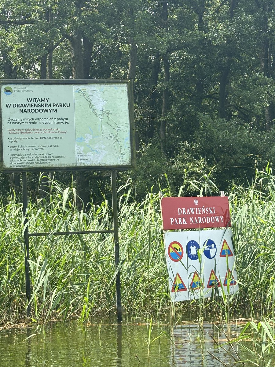 Zuzanna D. Pieczyńska tweet media