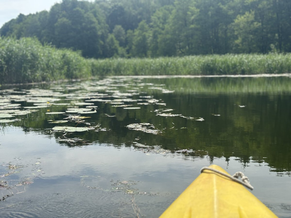 Zuzanna D. Pieczyńska tweet media
