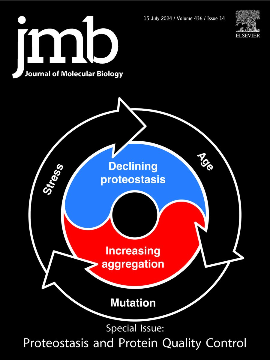 Journal of Molecular Biology (@jmolbiol) on Twitter photo Our latest Special Issue "Proteostasis and Protein Quality Control" edited by JMB editorial board member Johannes Buchner <a href="/buchnerlab_tum/">BuchnerLab</a> <a href="/TU_Muenchen/">TU München</a> is now published!
Read this exciting collection of reviews and research articles here: bit.ly/3xR1lTV Our latest Special Issue "Proteostasis and Protein Quality Control" edited by JMB editorial board member Johannes Buchner <a href="/buchnerlab_tum/">BuchnerLab</a> <a href="/TU_Muenchen/">TU München</a> is now published!
Read this exciting collection of reviews and research articles here: bit.ly/3xR1lTV