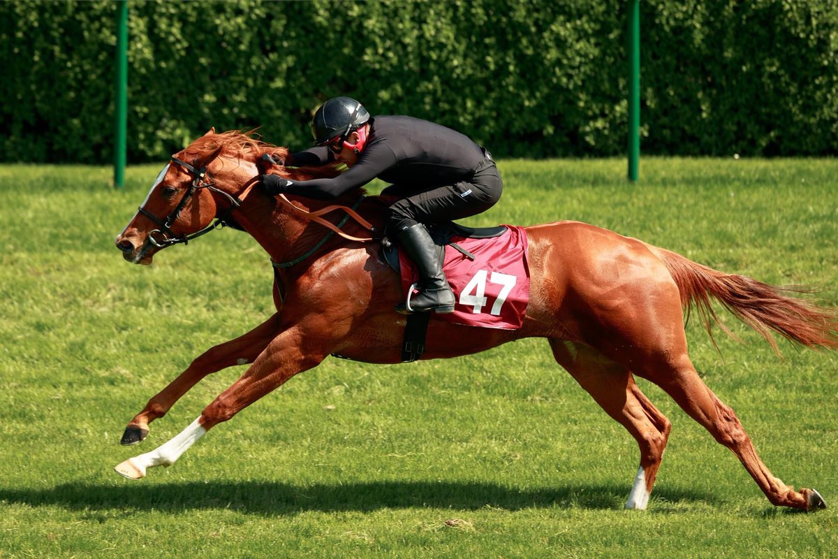 Grove Stud (@grovestud) on Twitter photo A good man left us today , and is gone straight to heaven...a consumate professional and as nice a person as you could wish to meet...from all your friends past and present <a href="/grovestud/">Grove Stud</a> Rest in Peace Valdi....Heartbroken A good man left us today , and is gone straight to heaven...a consumate professional and as nice a person as you could wish to meet...from all your friends past and present <a href="/grovestud/">Grove Stud</a> Rest in Peace Valdi....Heartbroken