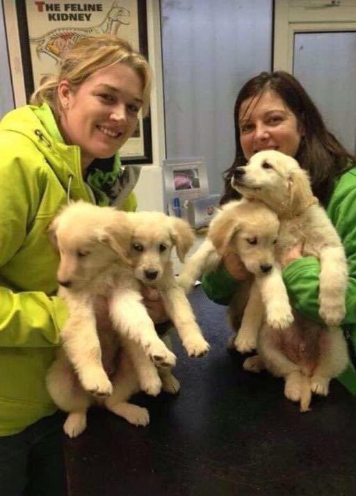 Máiréad Quinn 👩🏻‍🔬 tweet media