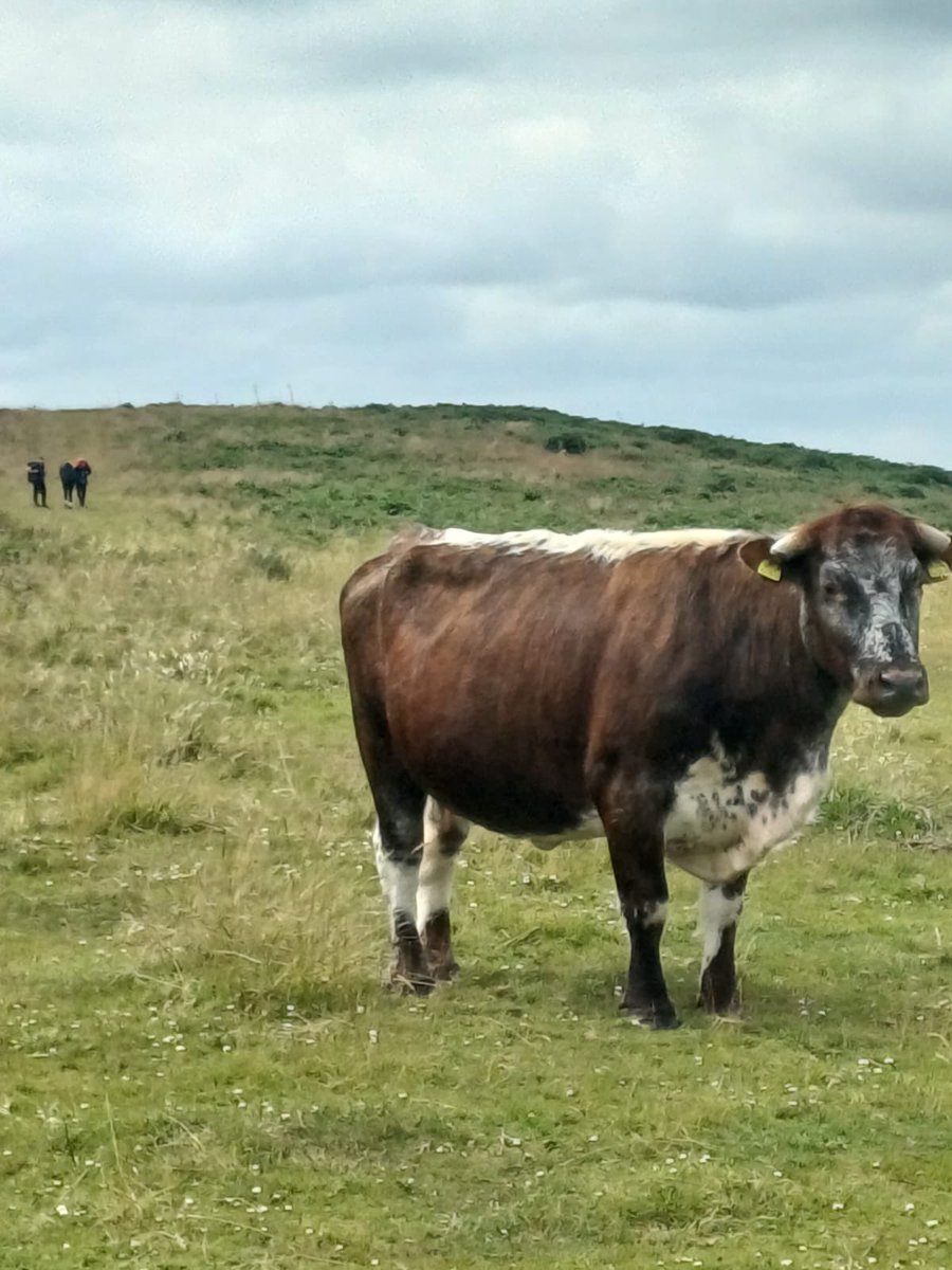 Finham Park DofE tweet media