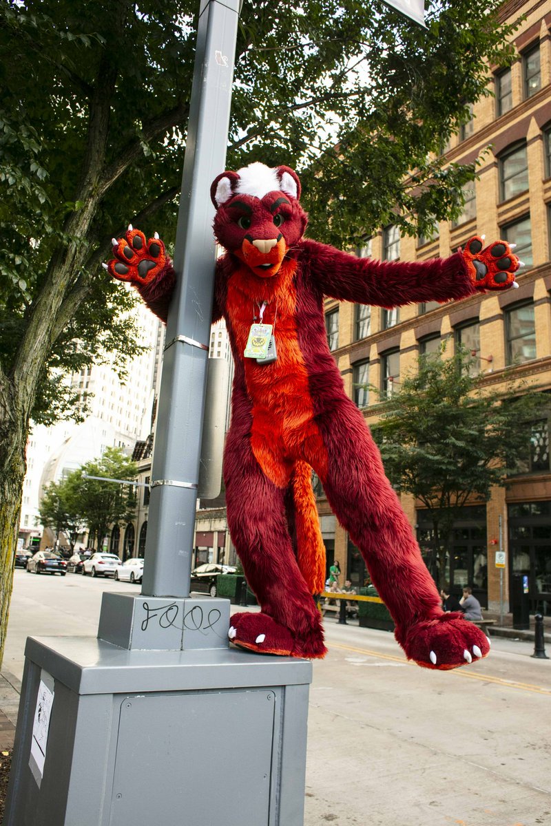 itschrysolite's tweet image. BIG

KITTY

CITY

#fursuitfriday
🪡: @BlueHarborC 
📸: @PleasantPicnic