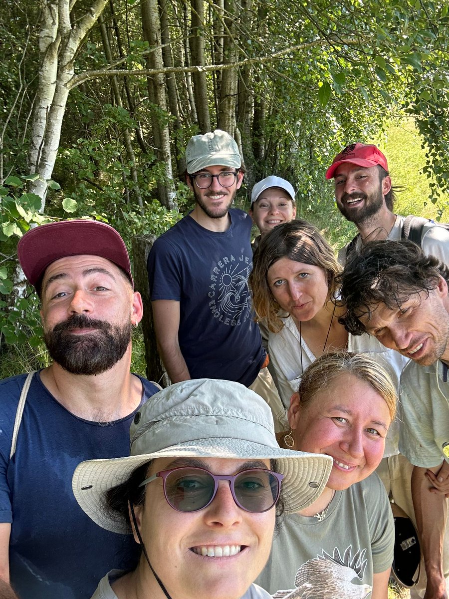 Social And Myrmecophilous Insects (@antswarsaw) on Twitter photo Multilab cooperation with Iza and Marcin Sielezniew, Morgan de Wette, Francesca Barbero and Luca Casacci from <a href="/thevibrantlab/">Vibrant Lab</a> on #Maculinea, Ichneumon, Myrmica and Rickia in beautiful places close to #Białowieża Forest <a href="/MiIZ_PAS/">Museum and Institute of Zoology PAS</a> <a href="/NCN_PL/">Narodowe Centrum Nauki</a> #ants Multilab cooperation with Iza and Marcin Sielezniew, Morgan de Wette, Francesca Barbero and Luca Casacci from <a href="/thevibrantlab/">Vibrant Lab</a> on #Maculinea, Ichneumon, Myrmica and Rickia in beautiful places close to #Białowieża Forest <a href="/MiIZ_PAS/">Museum and Institute of Zoology PAS</a> <a href="/NCN_PL/">Narodowe Centrum Nauki</a> #ants