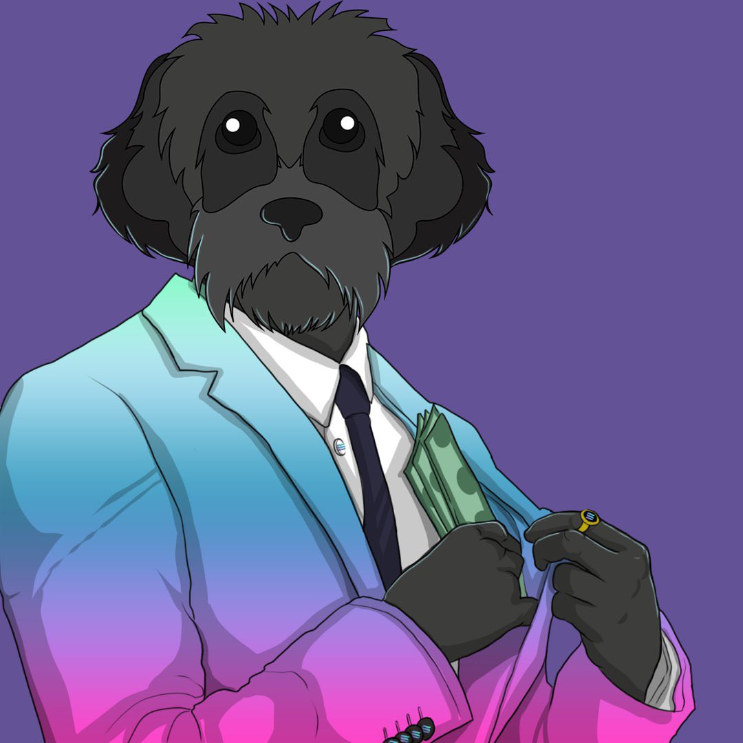 Myro | Solana Chain 🐕‍🦺 tweet media