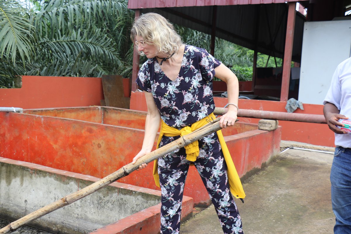 Solidaridad_wa's tweet image. 2/2 He visited Joe Farms and Processing Enterprise, an upgraded oil palm mill under #NISCOPS, and Agro Quorum, a rural service center established with support from @Solidaridad_wa under #SWAPP.