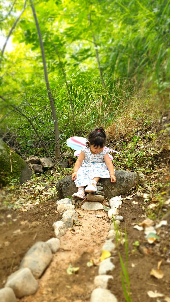 arenilodge's tweet photo. ✨The little fairy paid a magical visit to Areni Lodge and discovered the enchanting fairy trails in the Secret Forest! 🧚♀️✨
Bring your little ones to experience the magic for themselves. Who knows what wonders they might find? ✨
#FairyTrails #SecretForest #Magic #babyfun https://t.co/TLmwUDaDLG