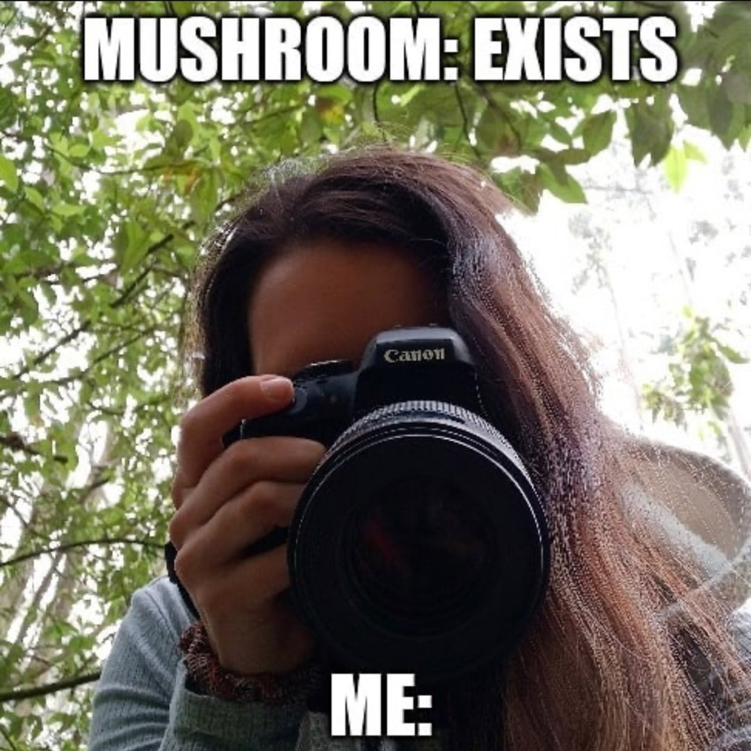 POV: you are a mushroom log at Unearthing Farm &amp; Market on July 18th when we join Xander for a lesson on edible mushroom growing! If it's your first time, no worries, there will be plenty of "morel" support 😜
Learn more at bit.ly/fungi4ga
🍄
#ClimateSurvivalTraining