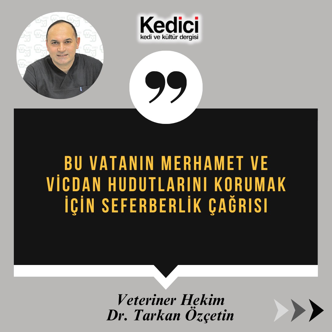 Bu bir seferberlik çağrısıdır.

Bu kez savaşmak için değil yaşatmak için bir seferberlik çağrısı…