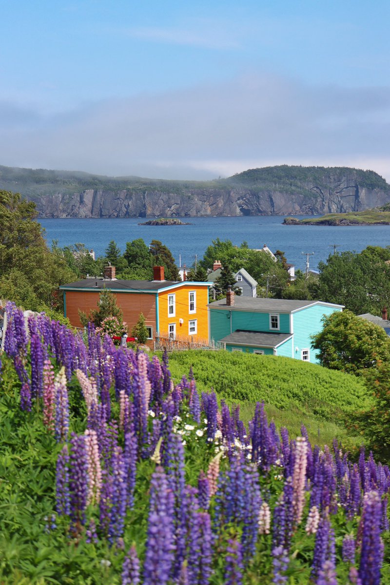 A little fog hanging over the hills is no threat to the colours of Trinity, NL.
